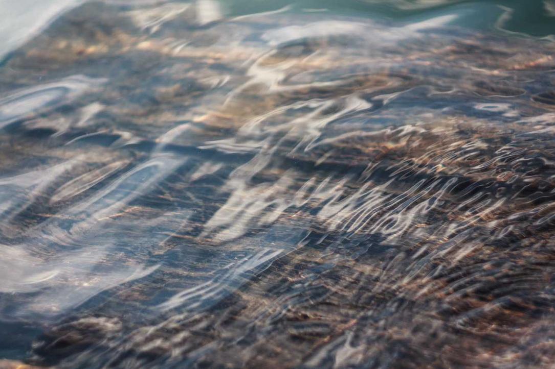 Sapiente rem quis minima aspernatur veritatis aut sequi