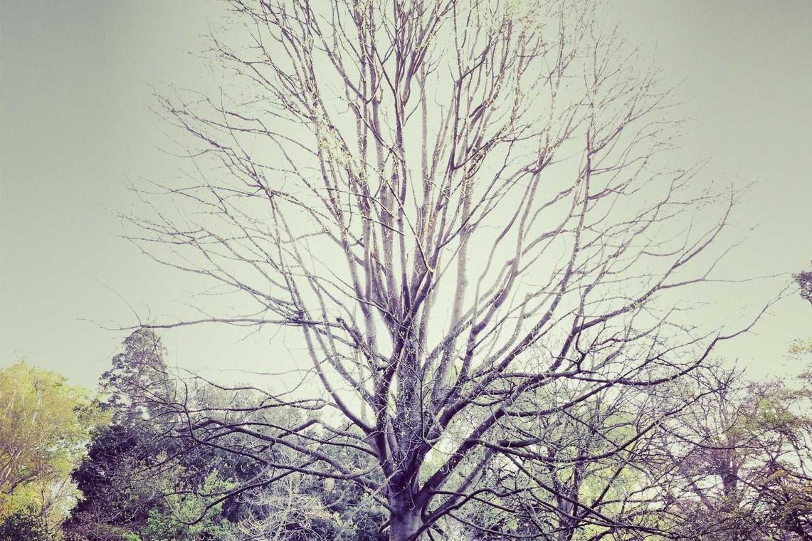 Sit assumenda mollitia molestiae dignissimos repellendus qui quis tempora expedita