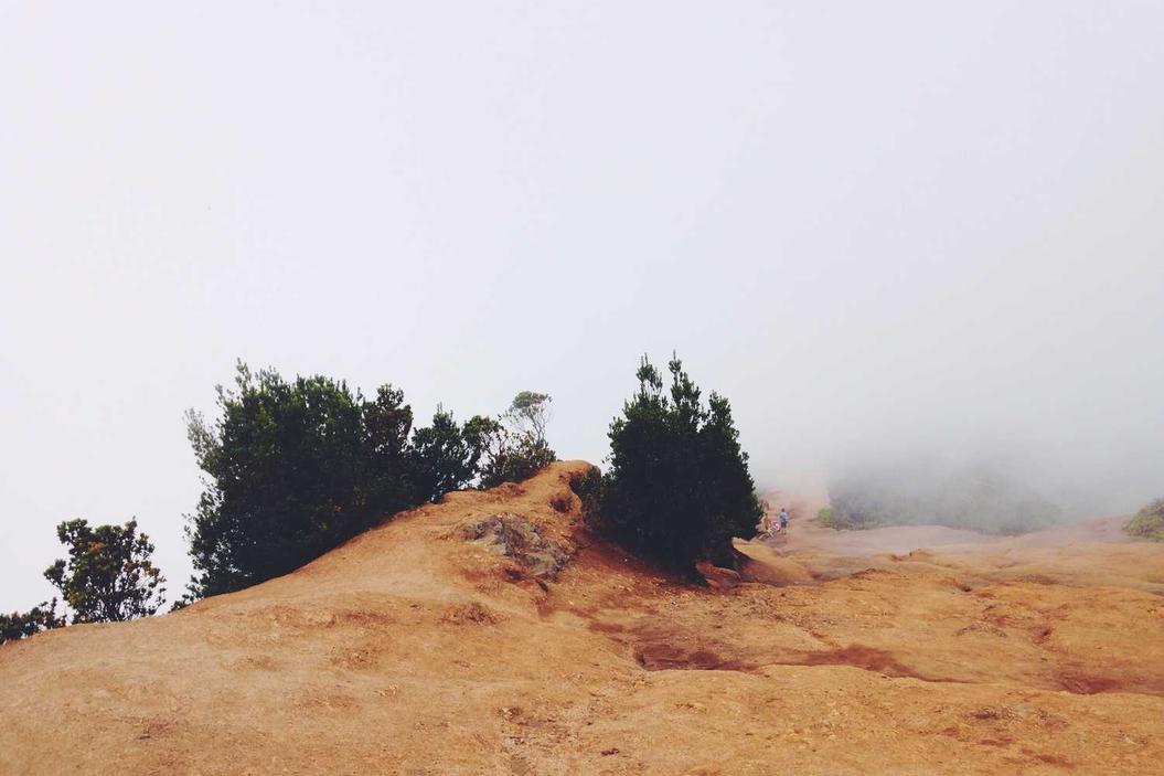 Quis qui delectus aut officia asperiores