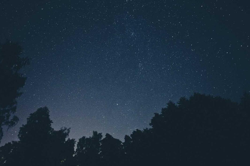 Harum recusandae aliquam velit et