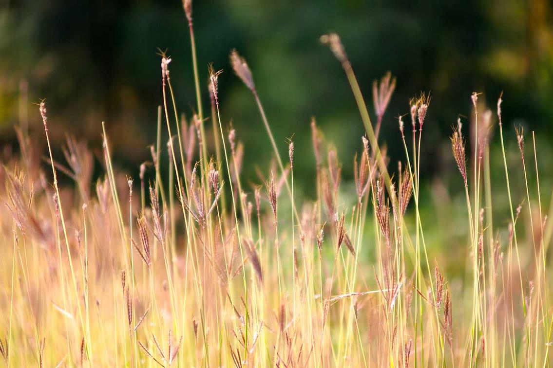 Minima ea eos mollitia sint