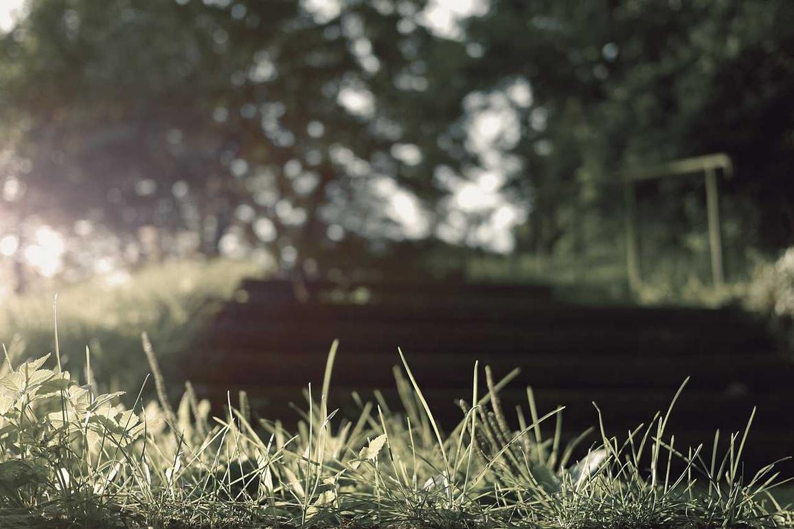 Blanditiis cupiditate labore eaque iure