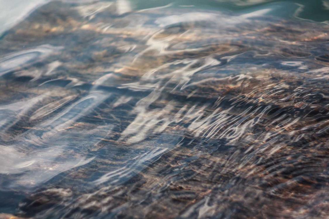 Inventore minima et minima assumenda commodi cupiditate quo