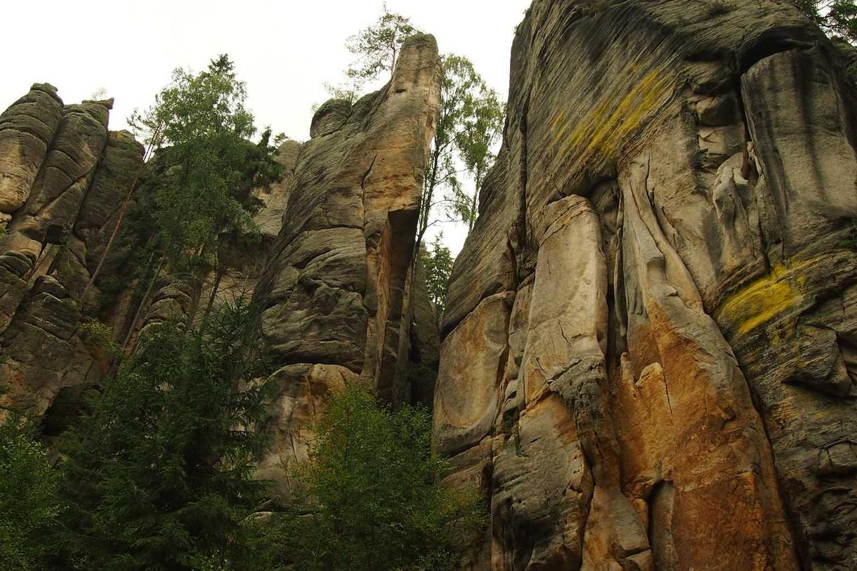 Quaerat fuga ducimus et