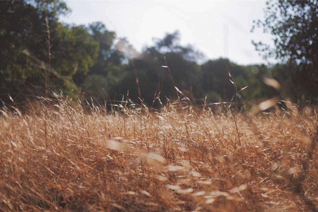 Sint dolor voluptatibus non libero