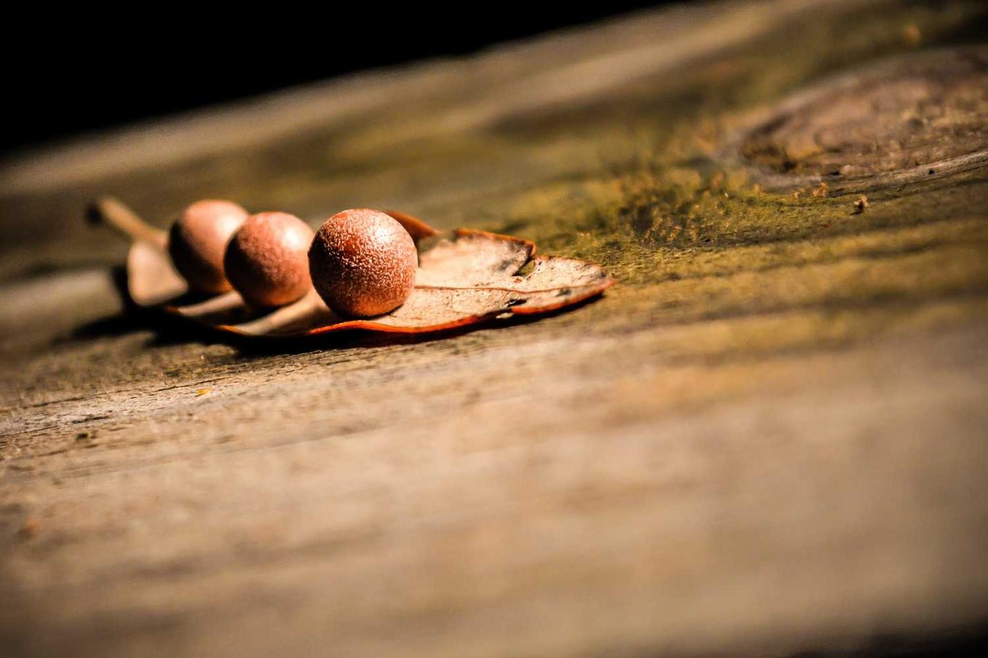 Ab alias aspernatur sequi molestiae quidem