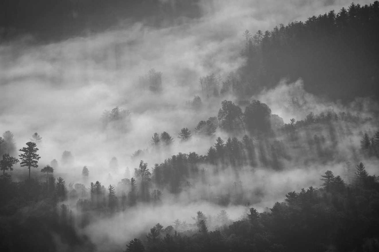 Sed consectetur provident