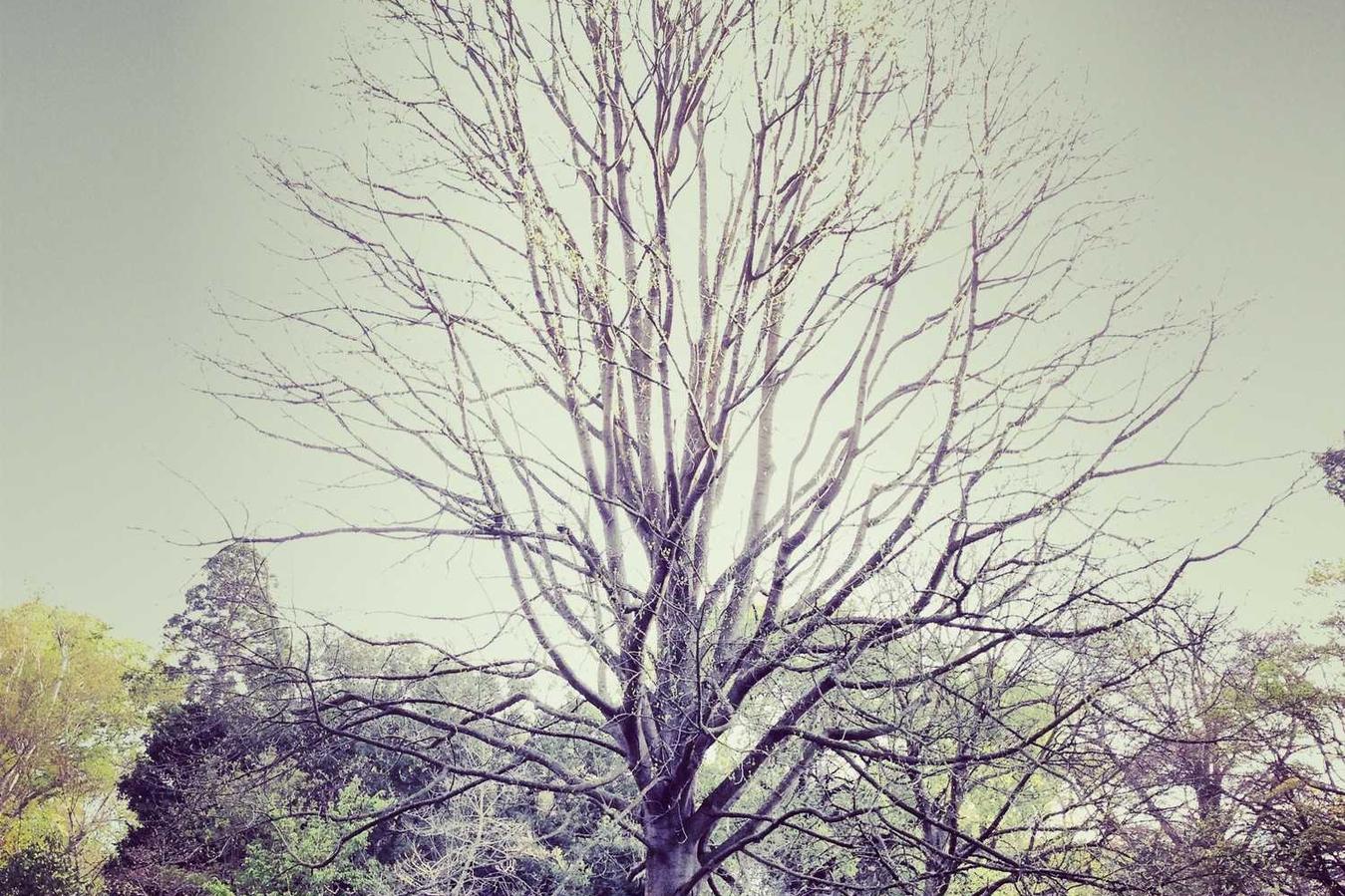 Et inventore veniam aut minima