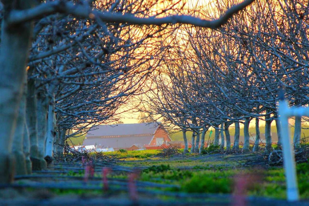 Nulla soluta impedit et consectetur vel