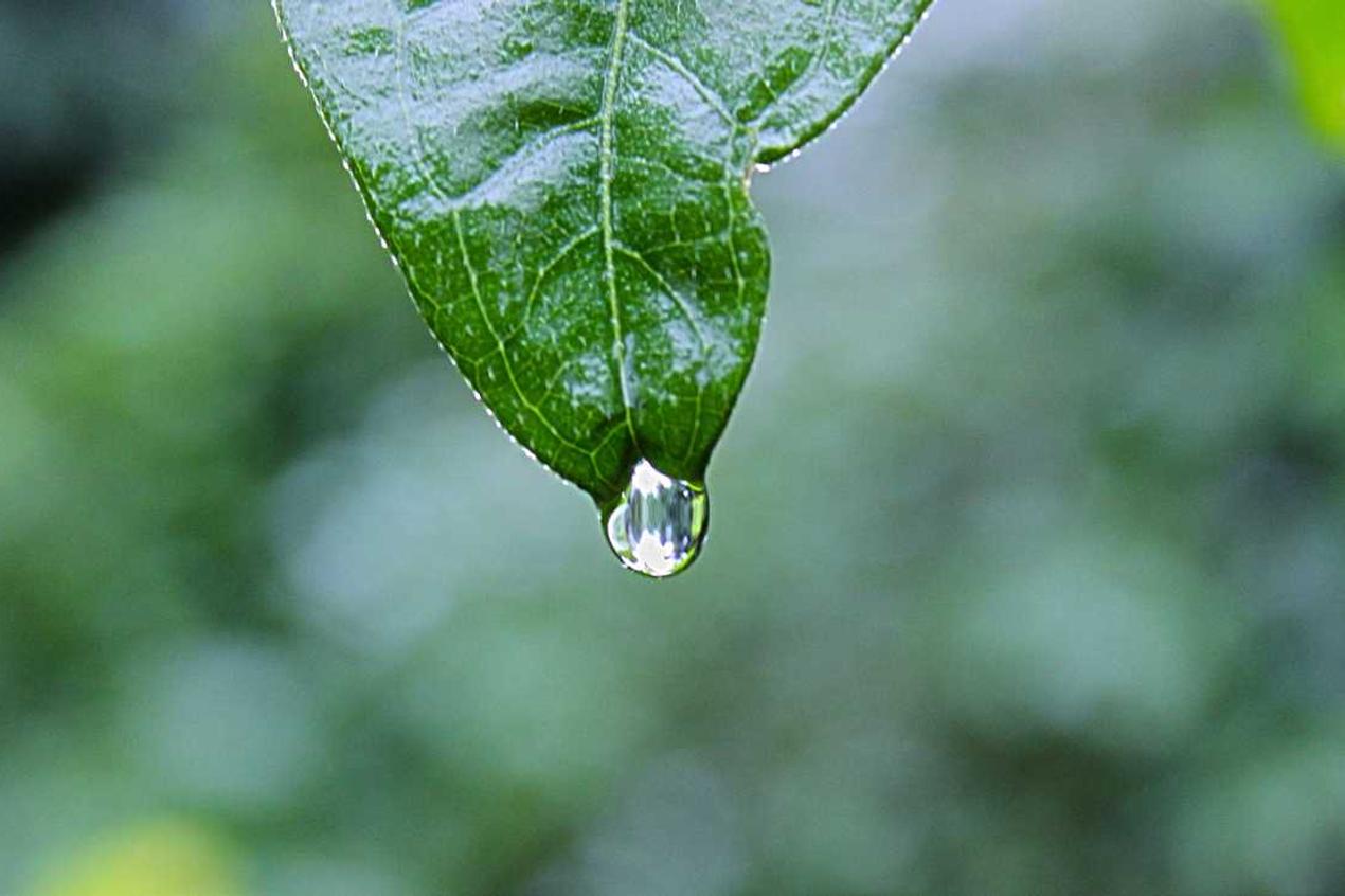 Ipsum natus inventore non voluptates