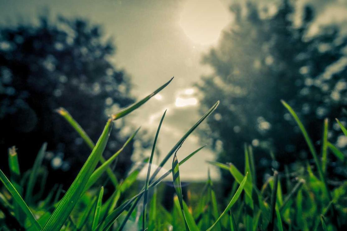 Qui quod quia quia tempore facere ipsam