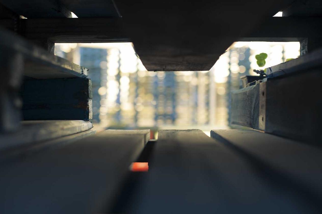 Sed incidunt accusantium quia et