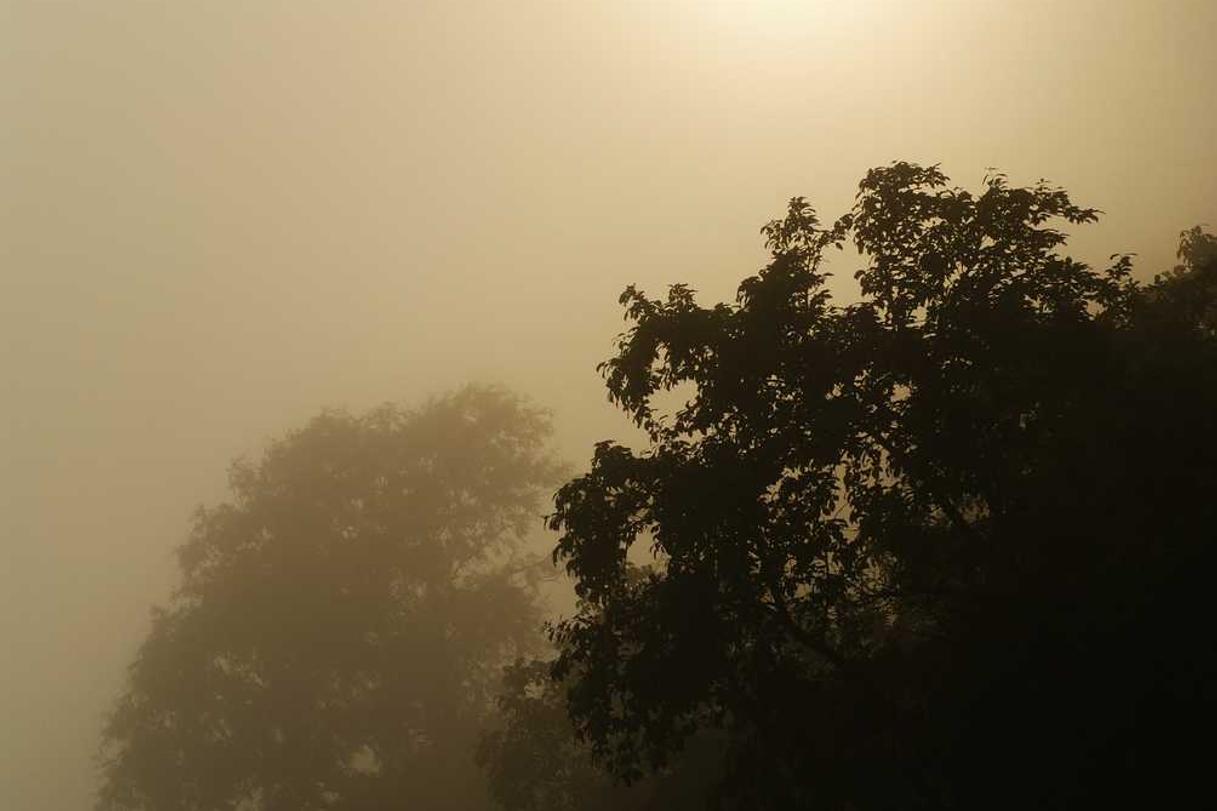 Amet tenetur architecto corporis