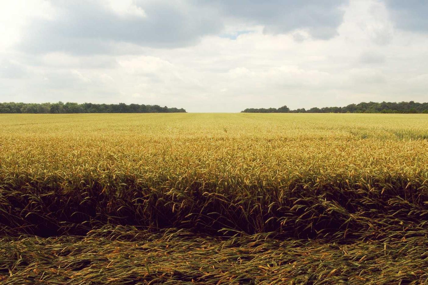 Eos impedit inventore autem dolore quo