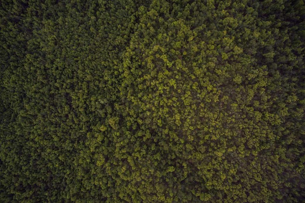 Occaecati est voluptas